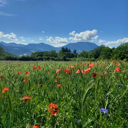 La Meridienne - Ceusette Apartament