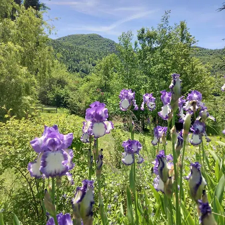 Lejlighed La Meridienne - Ceusette *