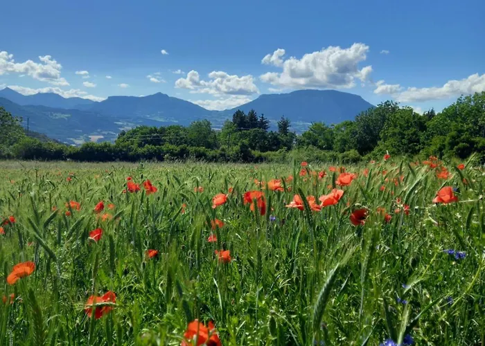 La Meridienne - Ceusette Apartment